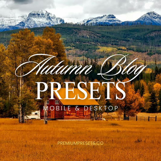 Autumn Blogger Lightroom Preset Bundle