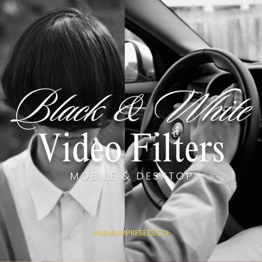 Black & White Video Filter & LUT Bundle