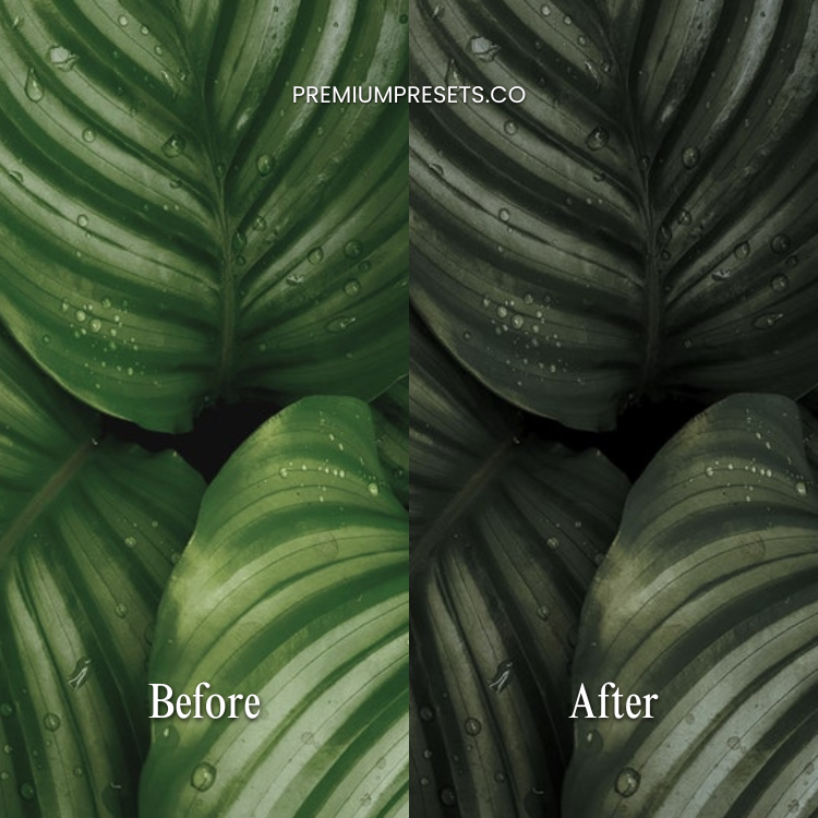 Cinematic Greens Lightroom Preset Bundle