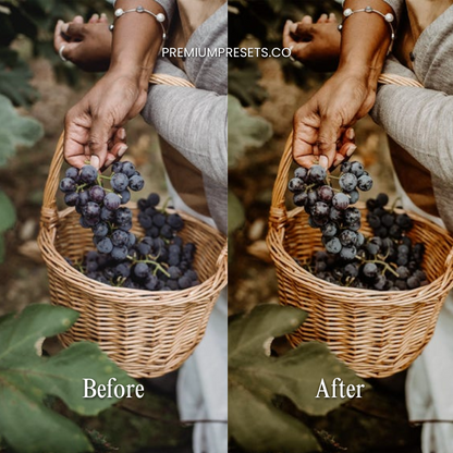 Earthy Lightroom Preset Bundle