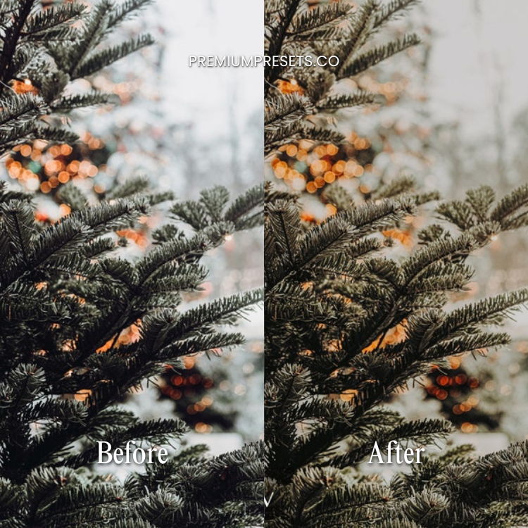 Bright Christmas Lightroom Preset Bundle