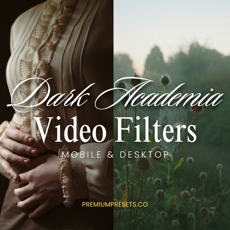 Dark Academia Video Filter & LUT Bundle