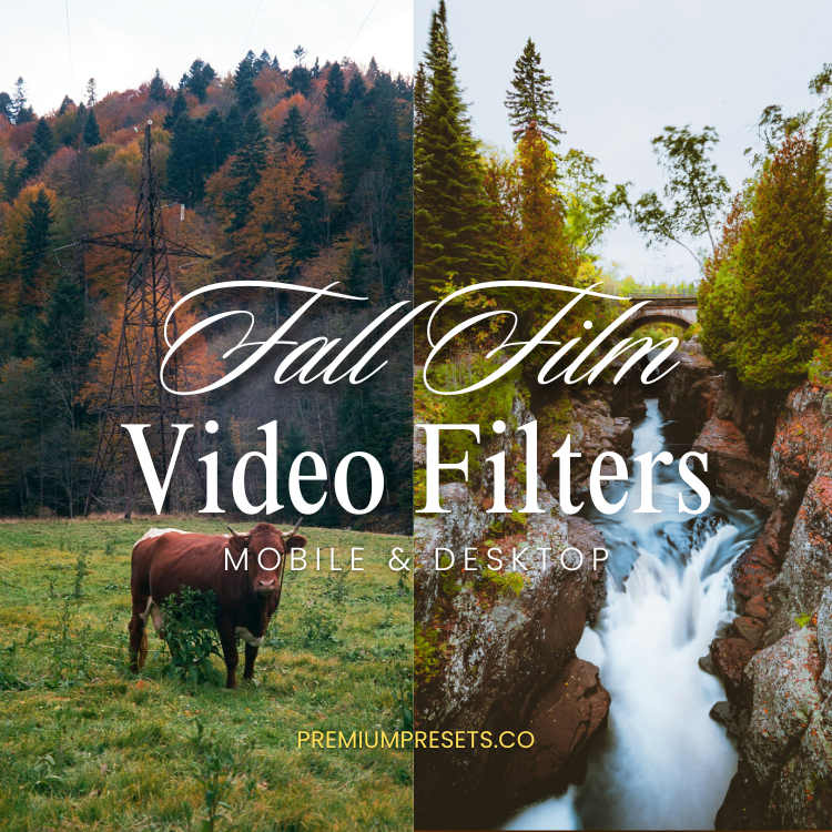 Fall Film Video Filter & LUT Bundle