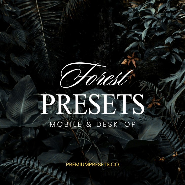 Forest Lightroom Preset Bundle